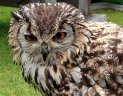 Click here to view the photos available in this gallery.