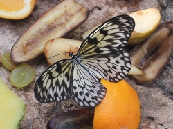 Click here to view the photos available in this gallery.